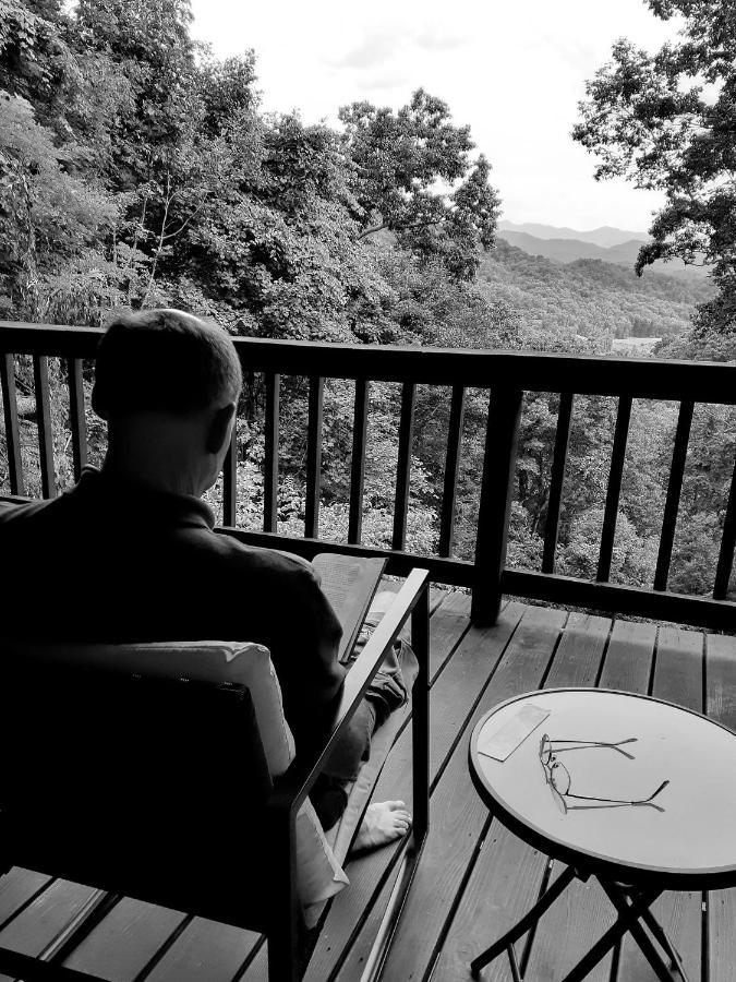 Treetops Cabin Easy To Asheville With Fast Wifi And Great View Swiss Kültér fotó